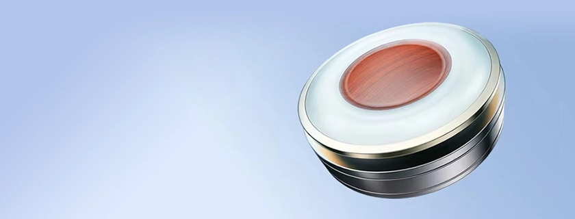 TRN Baiji wood-dome composite diaphragm close-up