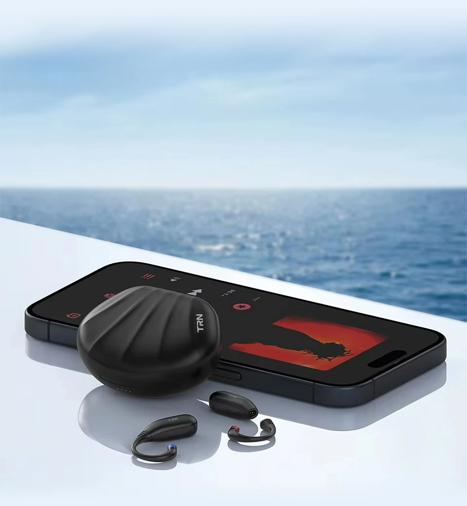 TRN Scallop beside smartphone