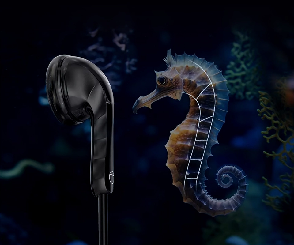 TRN Seahorse vs real seahorse